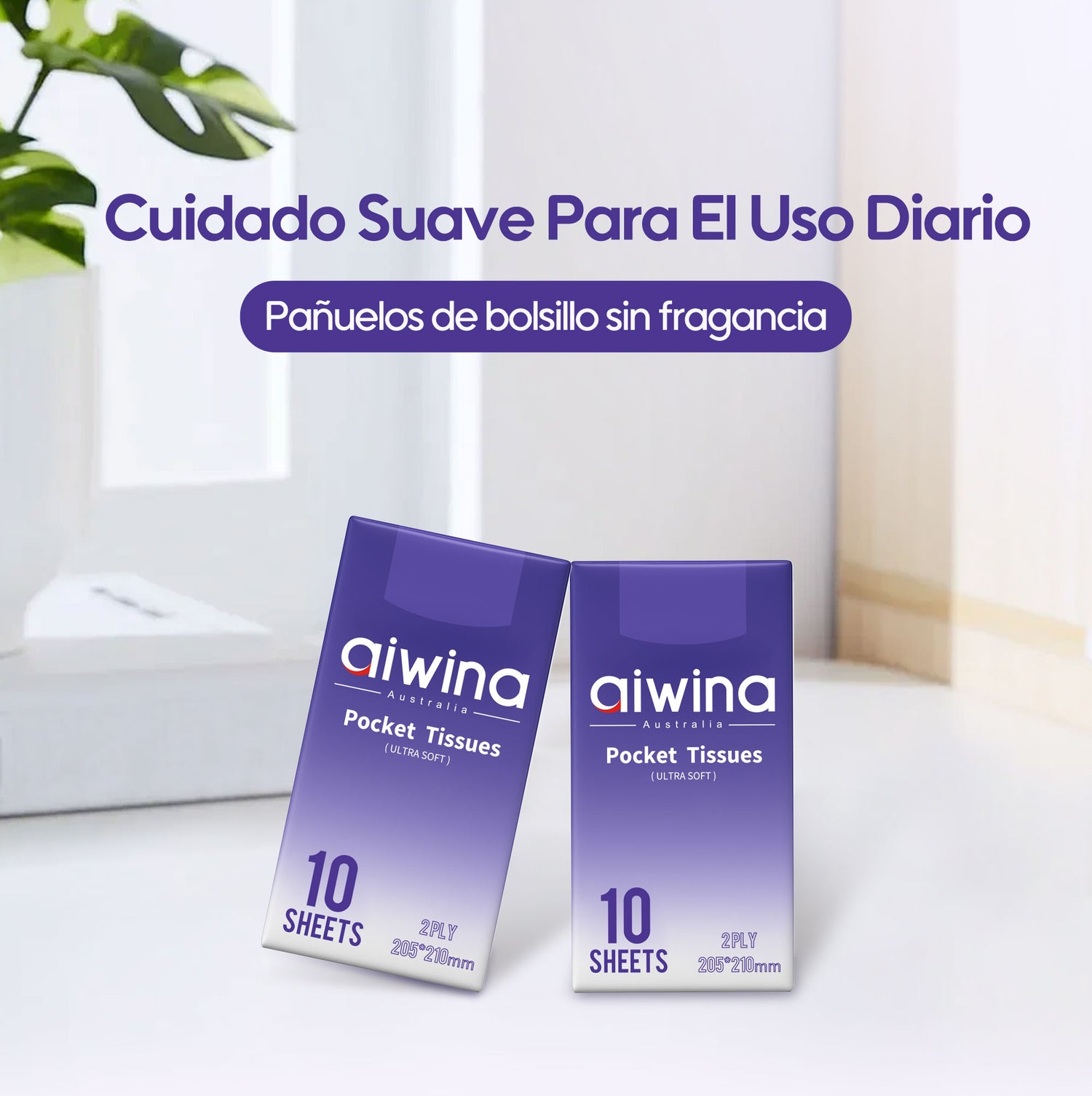 Pañuelos de bolsillo